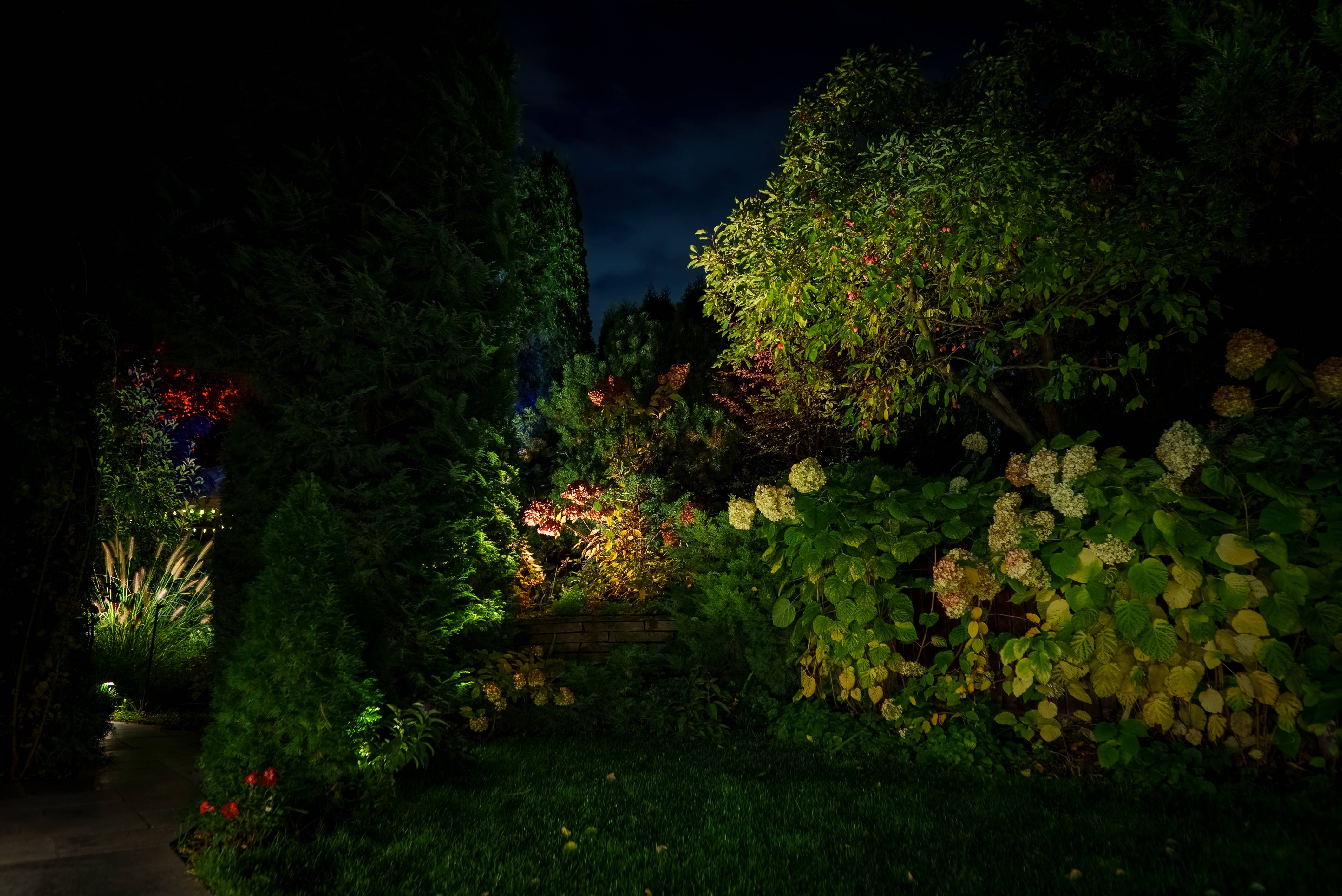 Layered lighting composition showcasing multi-color effects and depth