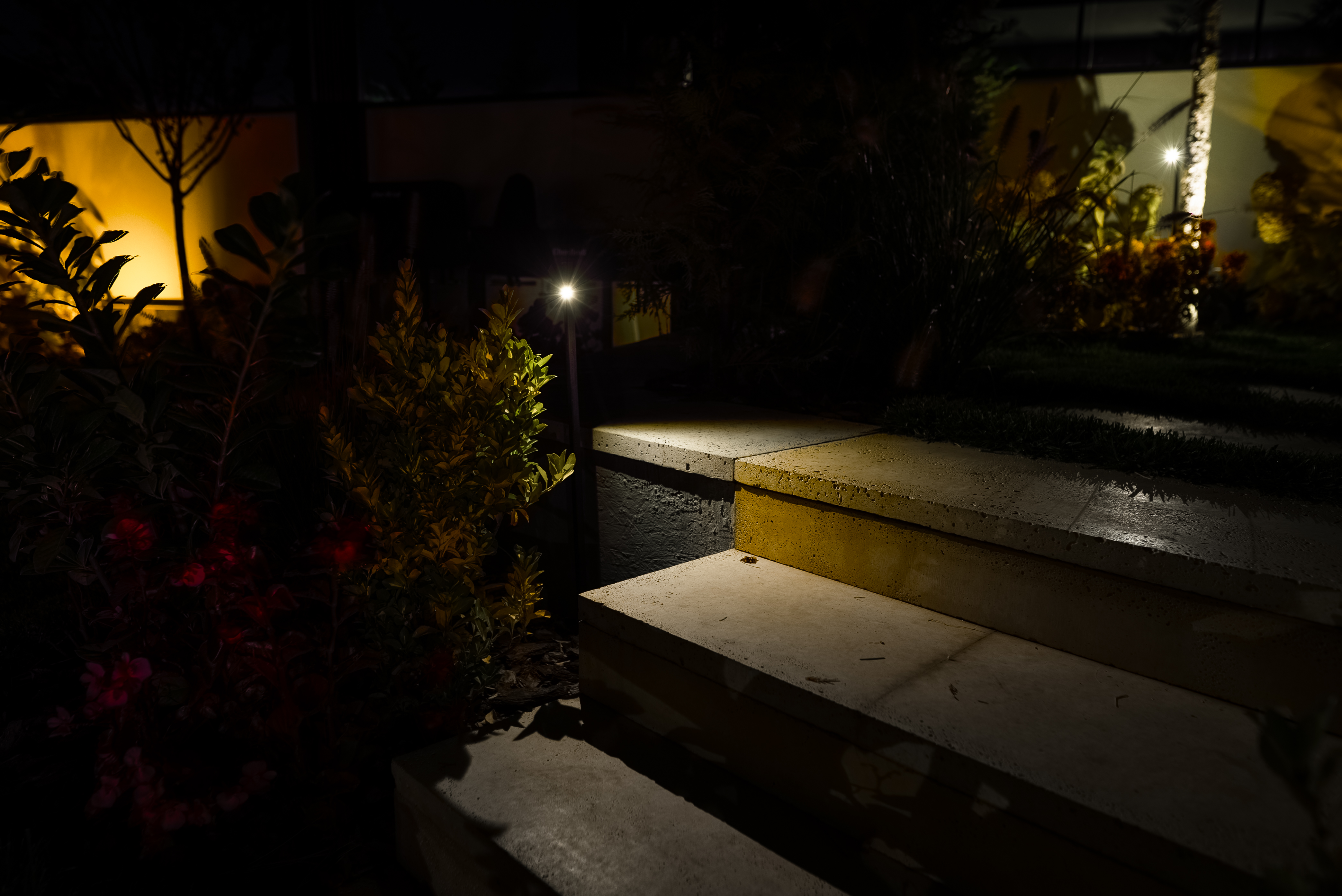 Contemporary pathway with architectural step lighting and subtle ambient glow